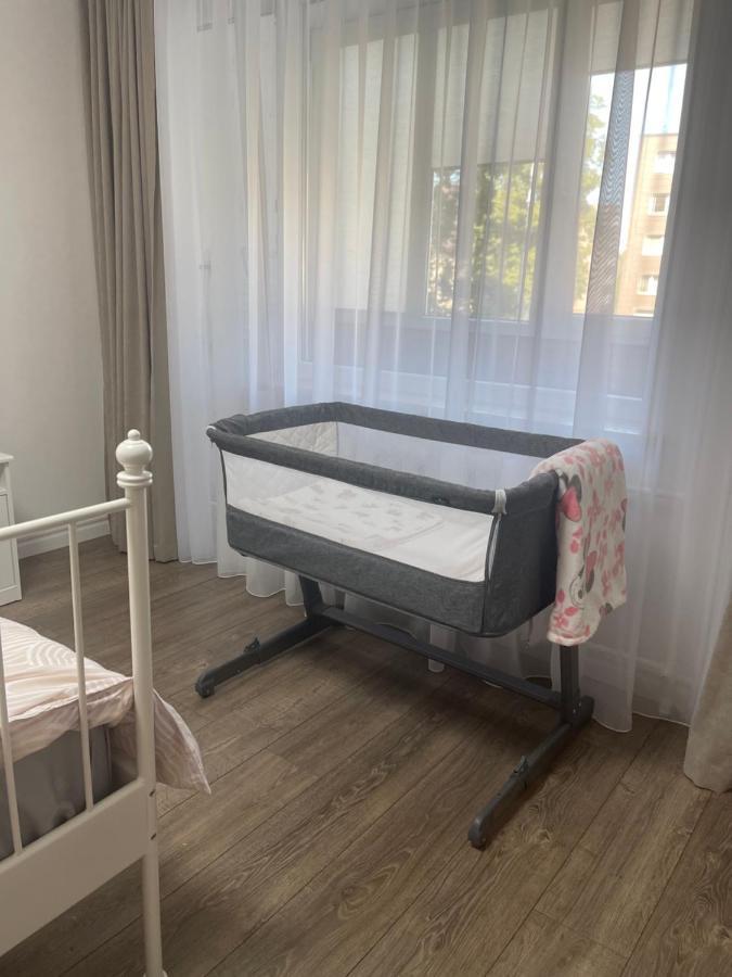 Apartments In The City Center Birzai Vytauto G22 Zewnętrze zdjęcie