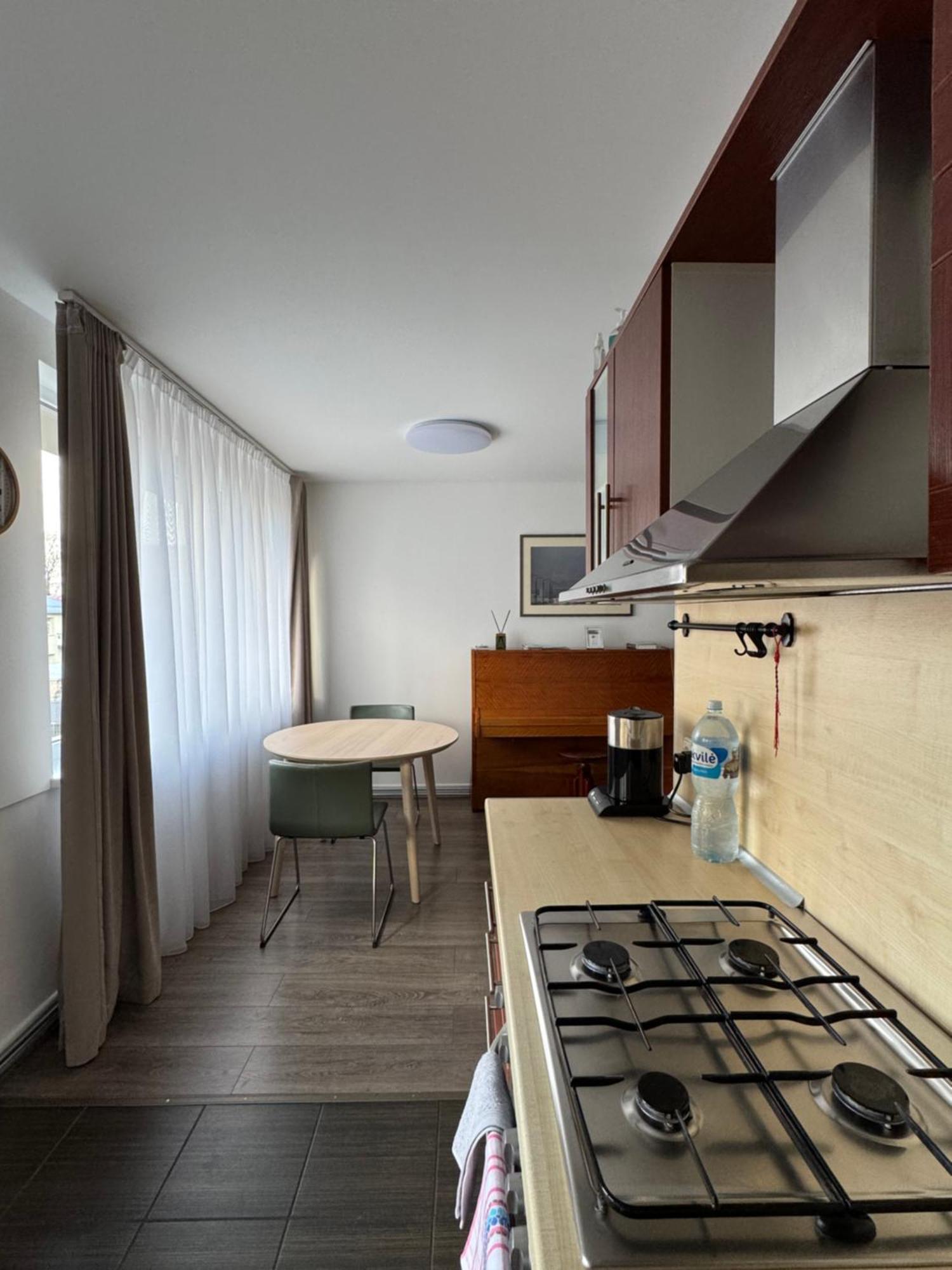 Apartments In The City Center Birzai Vytauto G22 Zewnętrze zdjęcie